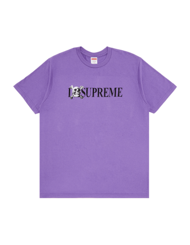 Supreme Skull Tee 'Purple' FW25T48PURPLE MBS