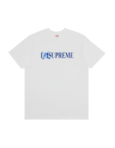 Supreme Skull Tee 'White' FW25T48WHITE MBS