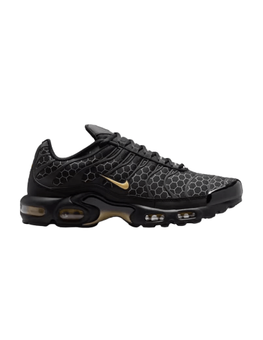 Nike Air Max Plus Black Honey IQ0287010 MBS