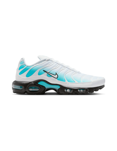 Nike Air Max Plus Dusty Cactus IU7539345 MBS