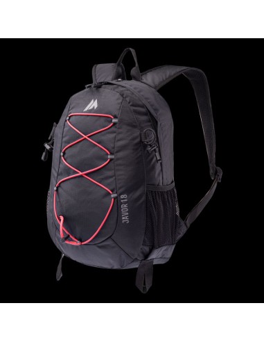 JAVOR 18 backpack
