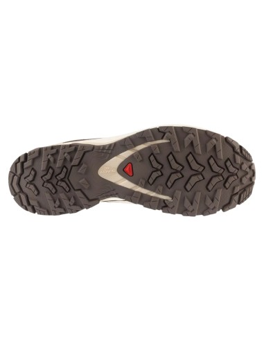 Salomon XA Pro 3D v9 Lifelong W L49153900
