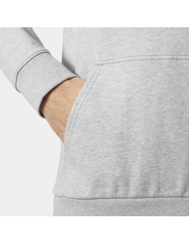 Helly Hansen Men's HH LOGO HOODIE 54582 949