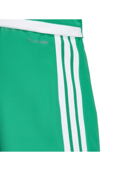 Men's adidas Tiro 26 Competition Match Day Shorts Green KA6175