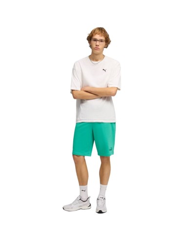 Puma ESS No1 Logo 10" Men's Shorts s Green 682595 40