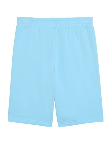 Puma ESS No1 Logo 10" Men's Shorts s Light Blue 682595 45