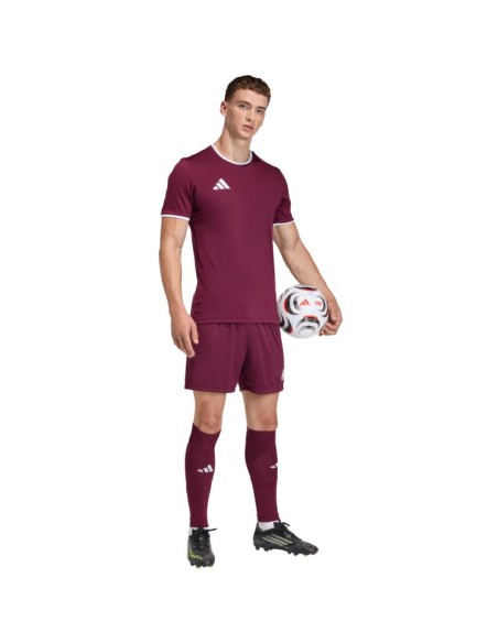 Men's adidas Entrada 26 burgundy shorts JZ2514