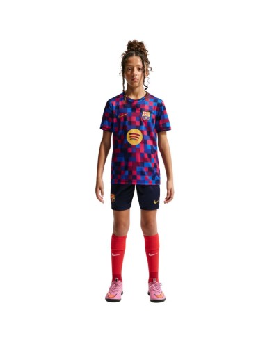 Nike FC Barcelona Kids' TShirt Burgundy and Blue II1752 621