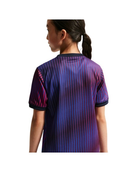 Nike Paris SaintGermain kids' tshirt purple IQ6946 420