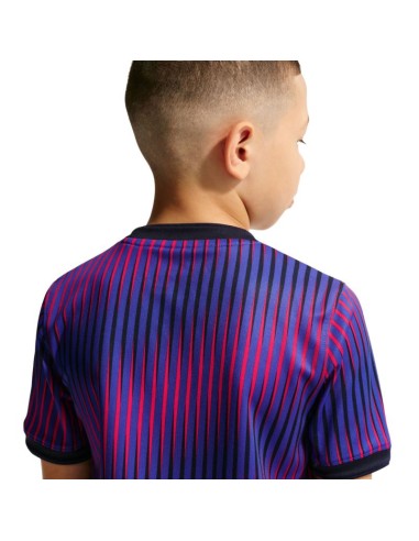 Nike Paris SaintGermain kids' tshirt purple IQ6946 420
