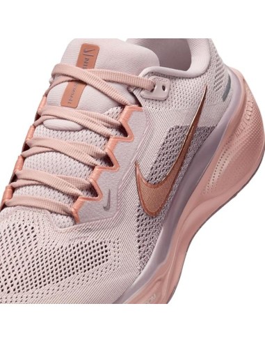 NIKE PEGASUS 41 FD2723604