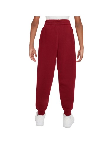 Nike Sportswear Club Fleece Kids' Pants Red FD3008 608