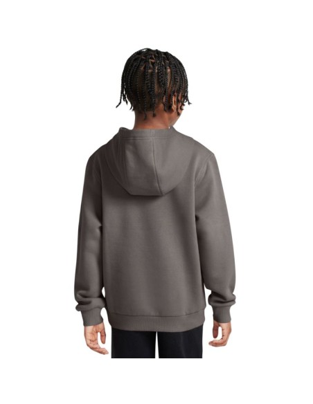 Nike Sportswear Club Fleece Kids' Sweatshirt Gray FD3000 289