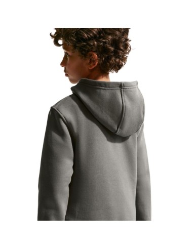Nike Sportswear Club Fleece Kids' Sweatshirt Gray FD3000 289