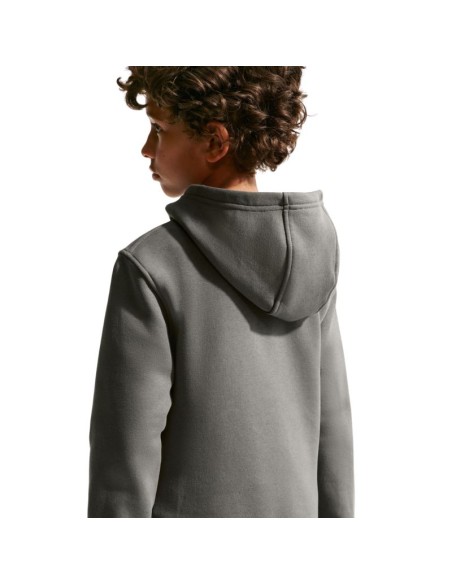 Nike Sportswear Club Fleece Kids' Sweatshirt Gray FD3000 289