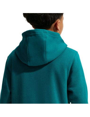 Nike Sportswear Club Fleece Kids' Sweatshirt Green FD3000 372