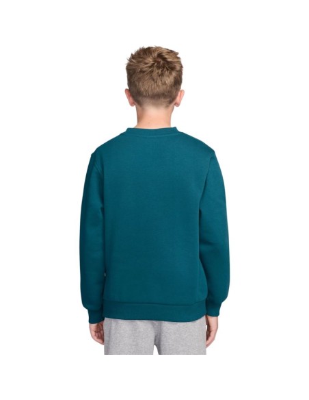 Nike Sportswear Club Fleece Kids' Sweatshirt Green FD3006 372