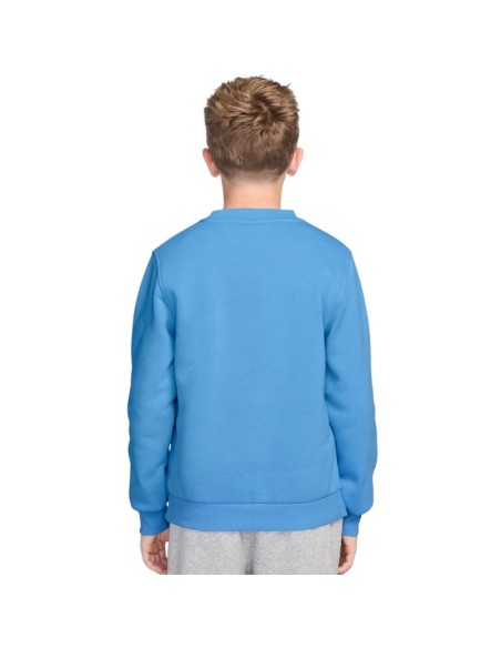 Nike Sportswear Club Fleece Kids' Sweatshirt Light Blue FD3006 497
