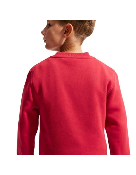 Nike Sportswear Club Fleece Kids' Sweatshirt Red FD3006 608