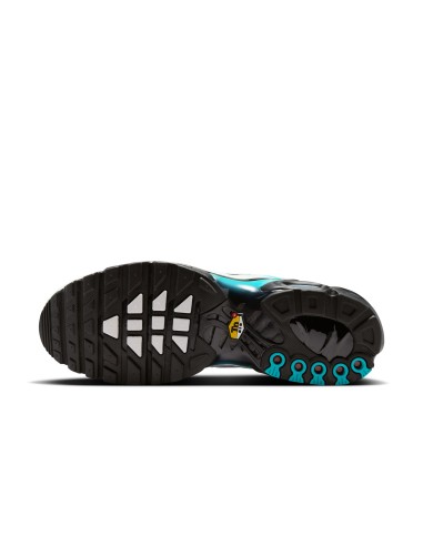 Nike Air Max Plus Dusty Cactus IU7539345 MBS