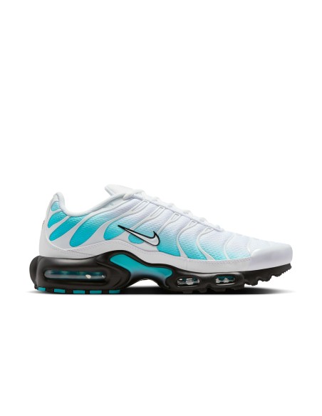 Nike Air Max Plus Dusty Cactus IU7539345 MBS