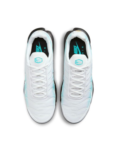 Nike Air Max Plus Dusty Cactus IU7539345 MBS
