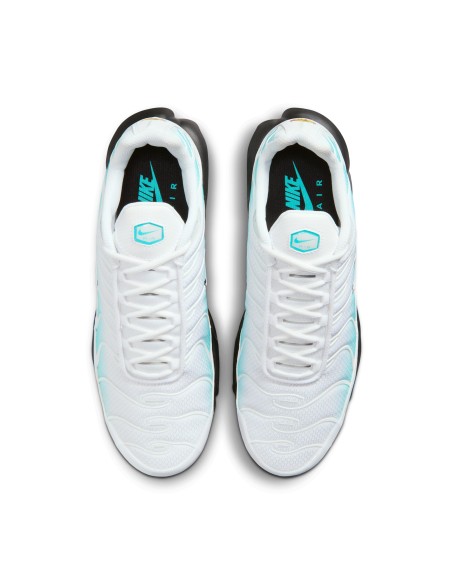 Nike Air Max Plus Dusty Cactus IU7539345 MBS