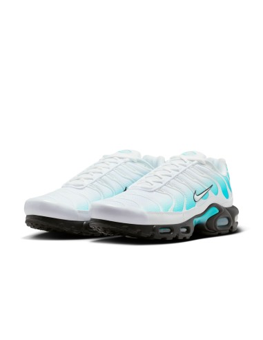 Nike Air Max Plus Dusty Cactus IU7539345 MBS