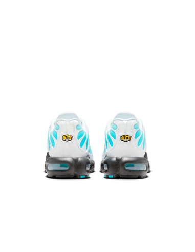 Nike Air Max Plus Dusty Cactus IU7539345 MBS