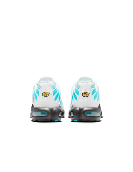 Nike Air Max Plus Dusty Cactus IU7539345 MBS