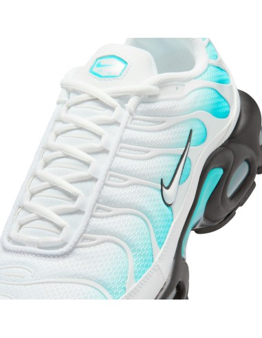 Nike Air Max Plus Dusty Cactus IU7539345 MBS