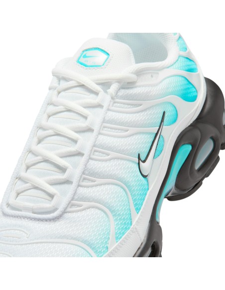 Nike Air Max Plus Dusty Cactus IU7539345 MBS