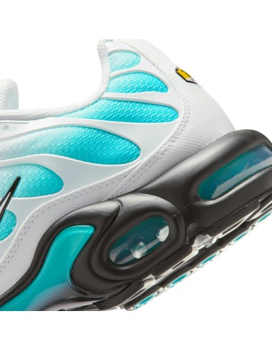 Nike Air Max Plus Dusty Cactus IU7539345 MBS