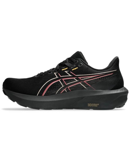 Asics GT1000 15 GTX shoes 1011C233 001