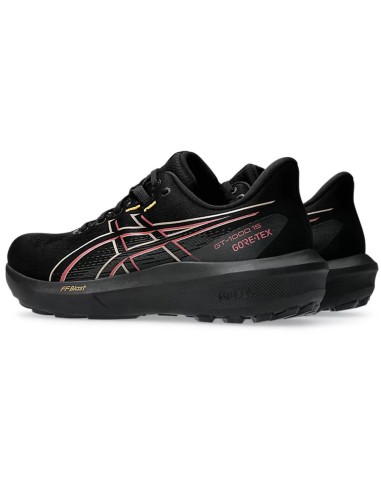 Asics GT1000 15 GTX shoes 1011C233 001