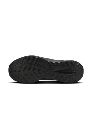 Nike Juniper Trail 2 GORETEX HM9734001 shoes