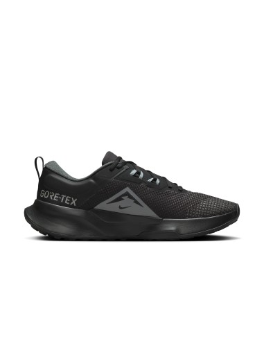Nike Juniper Trail 2 GORETEX HM9734001 shoes