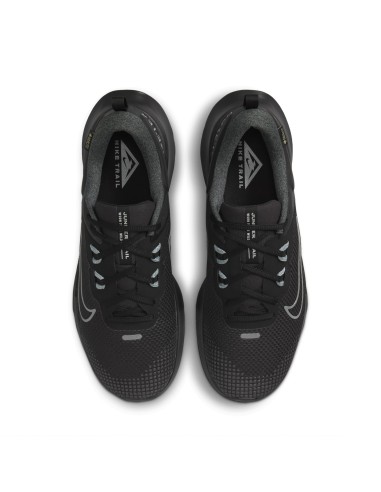 Nike Juniper Trail 2 GORETEX HM9734001 shoes