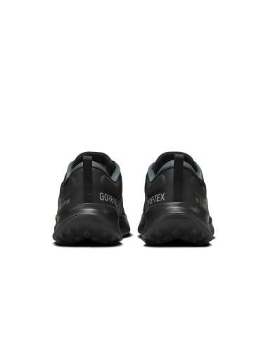 Nike Juniper Trail 2 GORETEX HM9734001 shoes