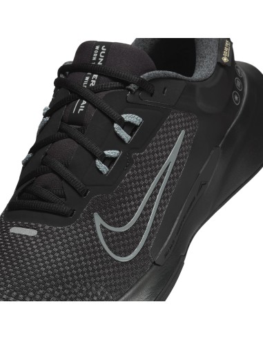 Nike Juniper Trail 2 GORETEX HM9734001 shoes