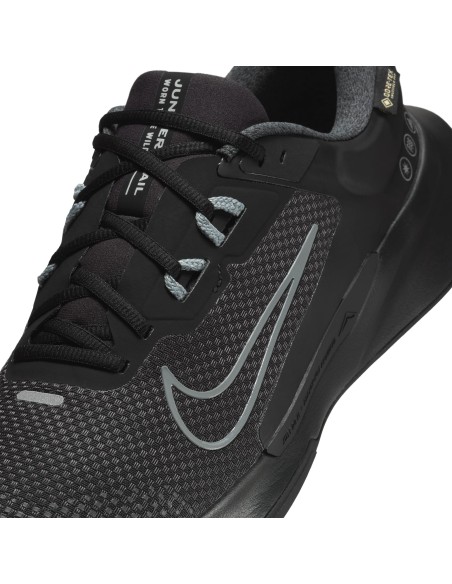 Nike Juniper Trail 2 GORETEX HM9734001 shoes