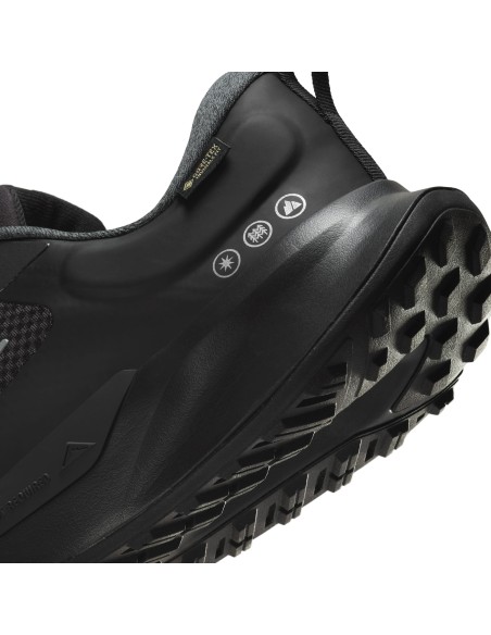 Nike Juniper Trail 2 GORETEX HM9734001 shoes