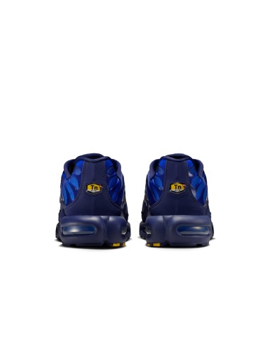 Nike Air Max Plus French Football Federation IQ0170400 MBS