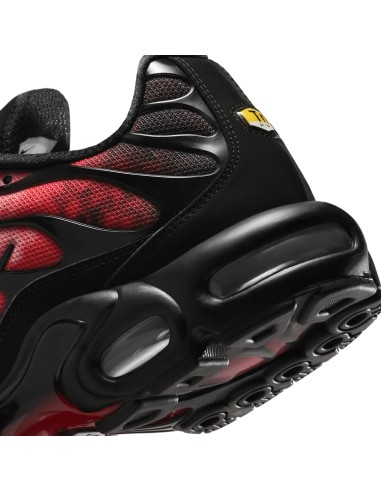 Nike Air Max Plus Flairemax IR1998001 MBS