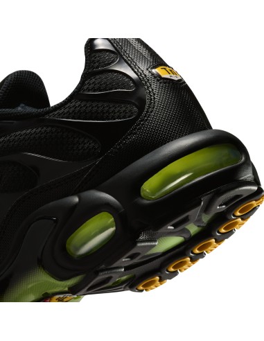 Nike Air Max Plus Black Volt Ice DM0032036 MBS