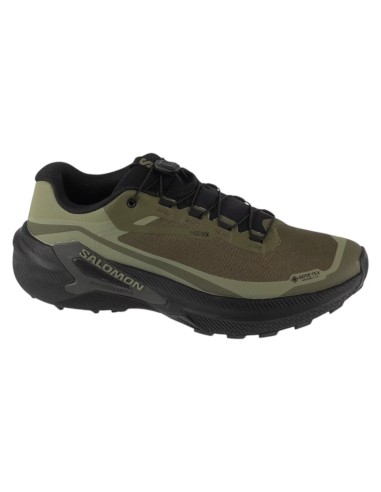 Salomon Genesis 2 GTX L49301900
