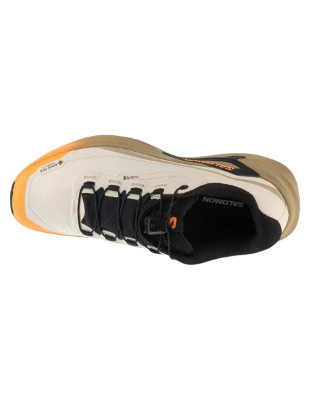 Salomon Genesis 2 GTX W L45388200