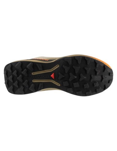 Salomon Genesis 2 GTX W L45388200