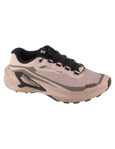 Salomon Genesis 2 GTX W L45388300