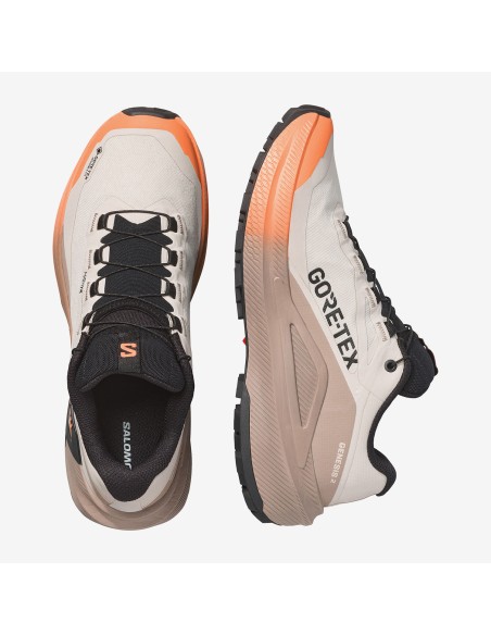 Salomon Genesis 2 GTX W L45388200